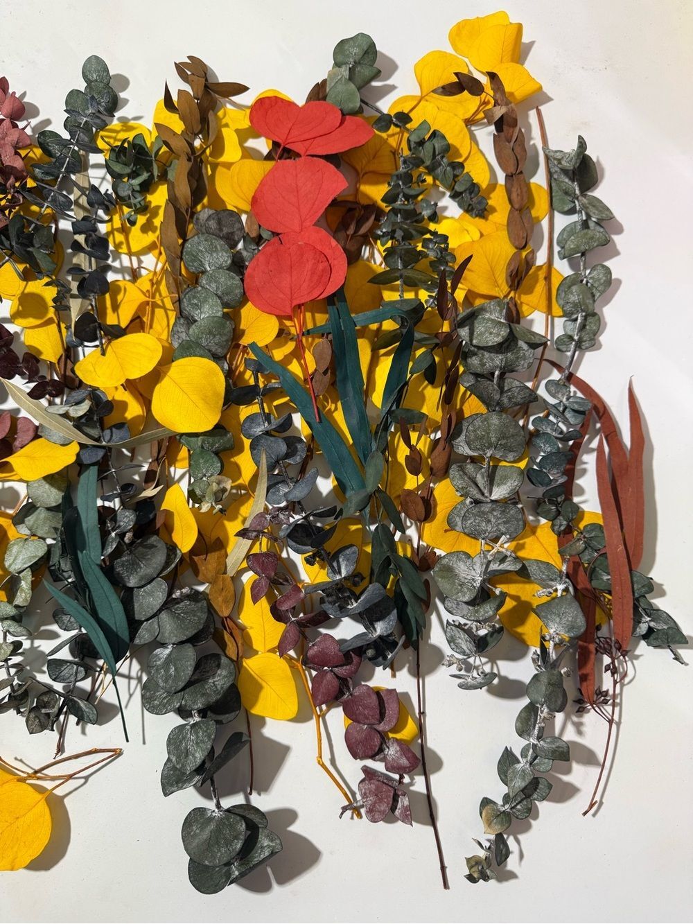 Mixed Dried Eucalyptus and Preserved Floral Stems - Yellow, Green, Red, Brown - Picture 4 of 5